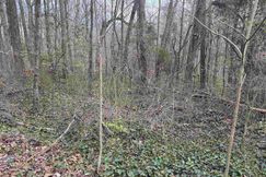 Property for sale in Jefferson County, Alabama