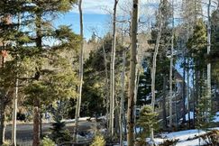 Undeveloped Land for sale in Colfax County, New Mexico
