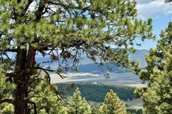 Undeveloped Land for sale in Colfax County, New Mexico