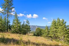 Undeveloped Land for sale in Kittitas County, Washington