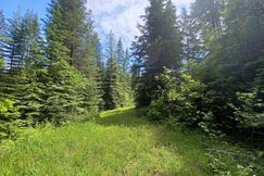 Undeveloped Land for sale in Bonner County, Idaho