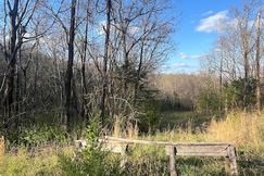 Undeveloped Land for sale in Christian County, Missouri