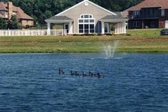 Undeveloped Land for sale in Christian County, Missouri