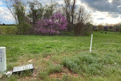 Undeveloped Land for sale in Christian County, Missouri