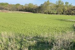 Undeveloped Land for sale in Mills County, Iowa