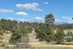 Undeveloped Land for sale in Archuleta County, Colorado