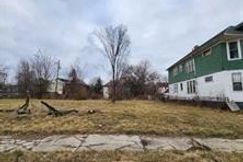 Undeveloped Land for sale in Wayne County, Michigan