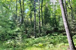 Undeveloped Land for sale in Vilas County, Wisconsin