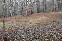 Undeveloped Land for sale in Jackson County, Georgia