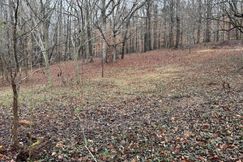 Undeveloped Land for sale in Jackson County, Georgia