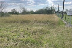 Undeveloped Land for sale in Jim Wells County, Texas