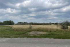 Undeveloped Land for sale in Jim Wells County, Texas