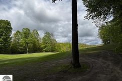 Undeveloped Land for sale in Antrim County, Michigan