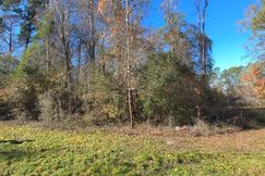 Undeveloped Land for sale in Horry County, South Carolina