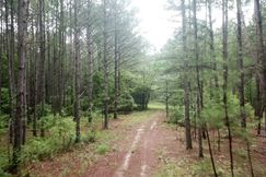 Undeveloped Land for sale in Bibb County, Georgia