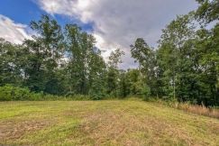 Undeveloped Land for sale in Hinds County, Mississippi