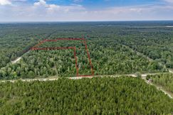 Undeveloped Land for sale in Gilchrist County, Florida