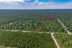 Undeveloped Land for sale in Gilchrist County, Florida