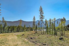 Undeveloped Land for sale in Lewis County, Washington