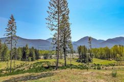 Undeveloped Land for sale in Lewis County, Washington