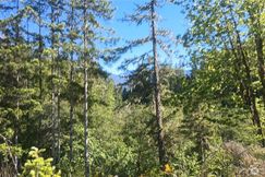 Undeveloped Land for sale in Lewis County, Washington