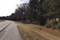 Undeveloped Land for sale in Spalding County, Georgia