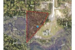 Undeveloped Land for sale in Lake County, Florida