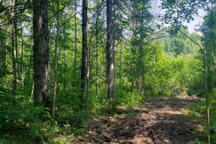 Residential Property for sale in Price County, Wisconsin