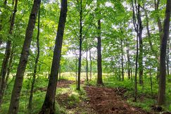 Property for sale in Price County, Wisconsin