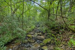 Ranch Property for sale in Morgan County, Tennessee