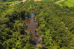 Farm Property for sale in Quitman County, Mississippi