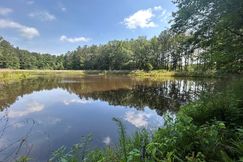 Undeveloped Land for sale in Leake County, Mississippi