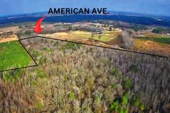 Undeveloped Land for sale in Clarendon County, South Carolina