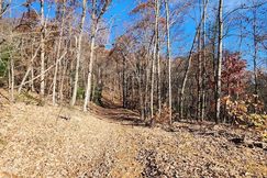 Undeveloped Land for sale in Franklin County, Virginia