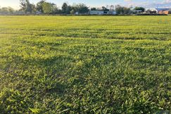 Undeveloped Land for sale in Terrebonne Parish, Louisiana