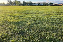 Undeveloped Land for sale in Terrebonne Parish, Louisiana