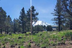 Undeveloped Land for sale in Siskiyou County, California