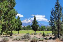 Undeveloped Land for sale in Siskiyou County, California