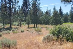 Undeveloped Land for sale in Siskiyou County, California