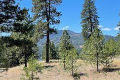 Undeveloped Land for sale in Stevens County, Washington