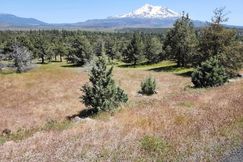 Undeveloped Land for sale in Siskiyou County, California