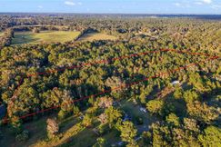 Undeveloped Land for sale in Marion County, Florida
