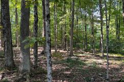 Undeveloped Land for sale in Worcester County, Massachusetts