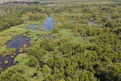Undeveloped Land for sale in St John The Baptist Parish, Louisiana