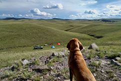 Undeveloped Land for sale in Park County, Colorado