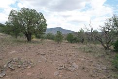 Undeveloped Land for sale in Jeff Davis County, Texas