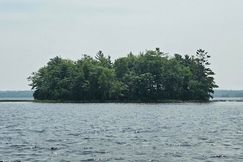 Undeveloped Land for sale in Penobscot County, Maine