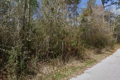 Undeveloped Land for sale in Escambia County, Florida