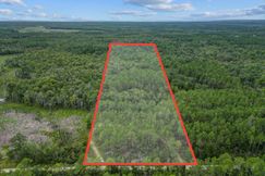 Undeveloped Land for sale in Dixie County, Florida