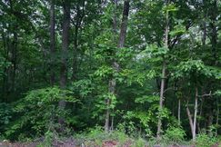 Undeveloped Land for sale in Bartow County, Georgia